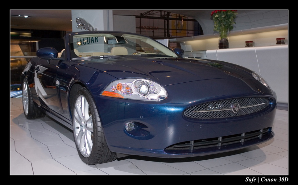 2006 - 10 - Mondial auto Paris 323